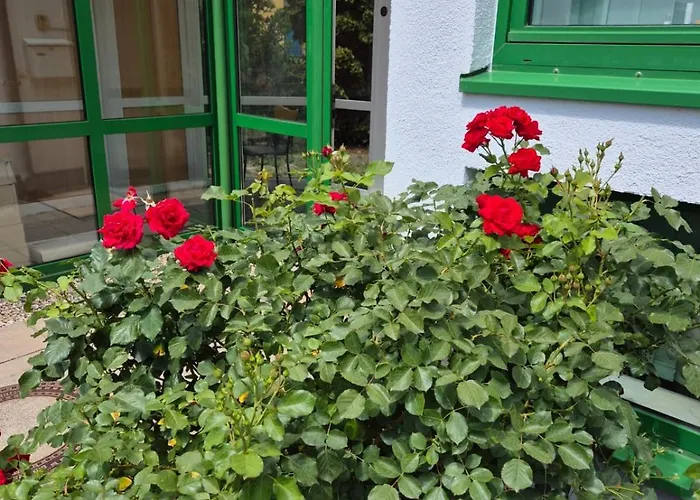 Hotel Lindenthal Leipzig